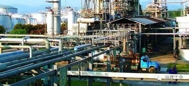 從縣辦小廠到地煉巨頭 解密一家煉化企業的逆襲之路