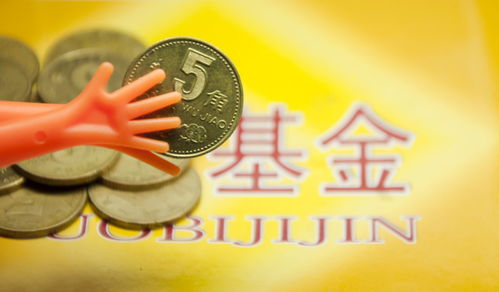 純債基金能否替代貨幣基金？投資前需先明辨產品差異